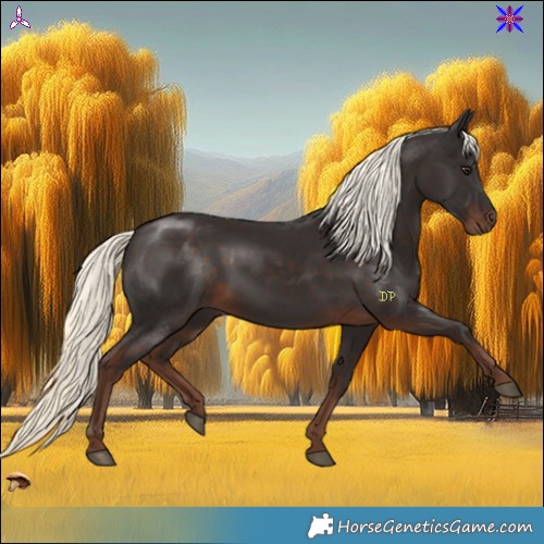 Horse Color:Liver Chestnut Mushroom 