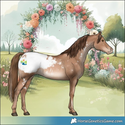 Horse Color:White Spotted Liver Chestnut Pearl Appaloosa Rabicano 
