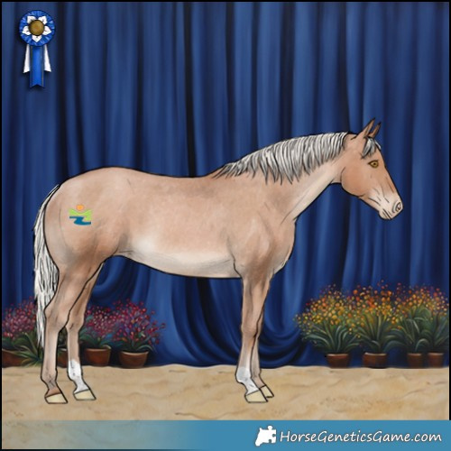 Horse Color:Silver Black Pearl Appaloosa Rabicano 