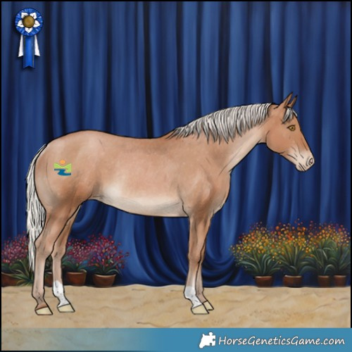 Horse Color:Silver Black Pearl Appaloosa Rabicano 