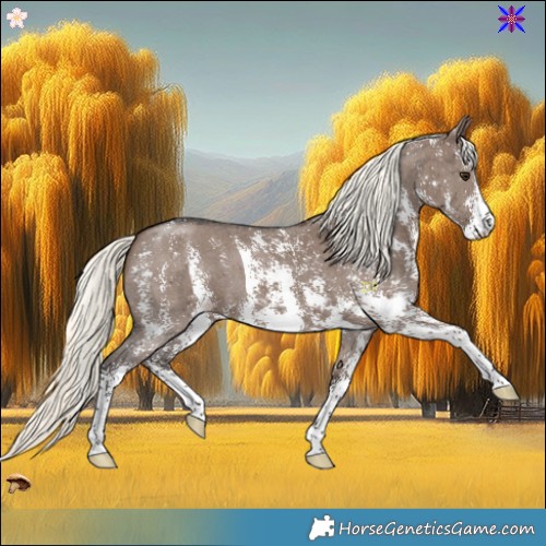 Horse Color:Liver Red Dun Mushroom Sabino 