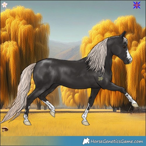 Horse Color:Liver Chestnut Mushroom