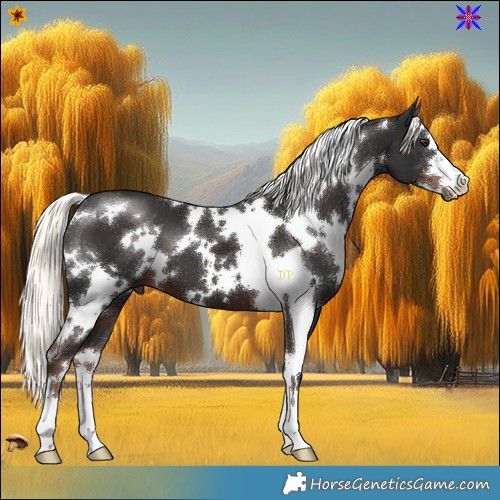 Horse Color:White Spotted Liver Chestnut Mushroom 