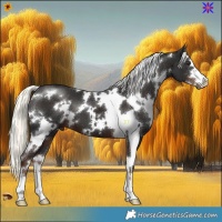 Horse Color:White Spotted Liver Chestnut Mushroom 