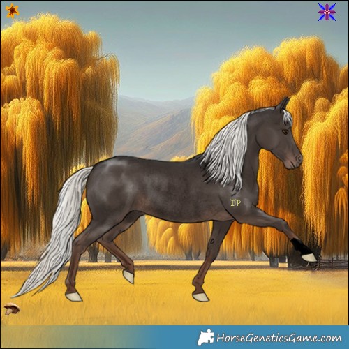 Horse Color:Void Liver Chestnut Mushroom Rabicano 