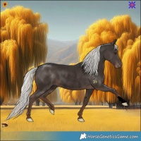 Horse Color:Void Liver Chestnut Mushroom Rabicano 
