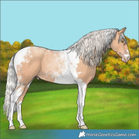 Horse Color:Silver Amber Champagne Tobiano 