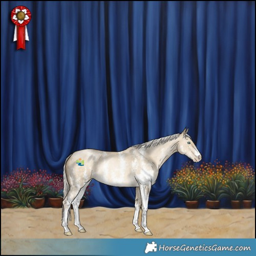 Horse Color:Silver Smoky Grullo Pearl Sabino 