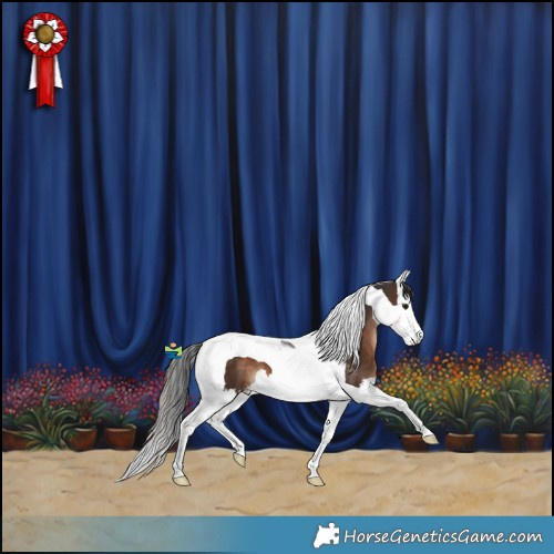Horse Color:Brown Splash Tobiano 