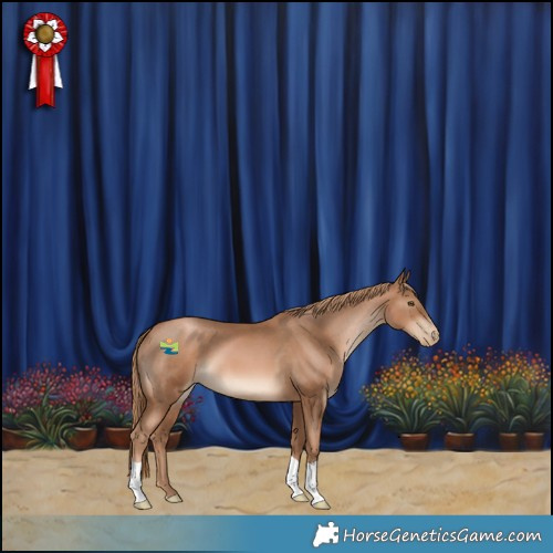 Horse Color:Liver Chestnut Pearl 