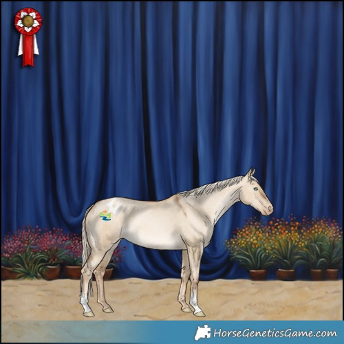 Horse Color:Chocolate Palomino Pearl Dun Appaloosa 
