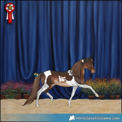 Horse Color:Liver Chestnut Tobiano 