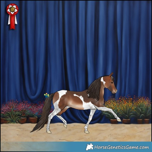Horse Color:Bay Tobiano 