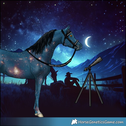 Horse Color:ERROR: UNKNOWN ANOMALY
