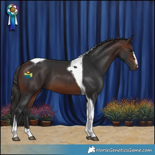 Horse Color:Brown Tobiano 