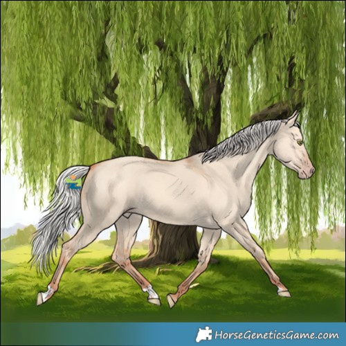 Horse Color:Silver Classic Champagne Dun 