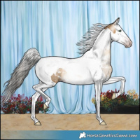 Horse Color:Gray Sable Cream Champagne Splash Tobiano Rabicano 