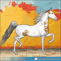 Horse Color:Gray Sable Cream Champagne Splash Tobiano Rabicano 