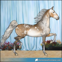 Horse Color:Gray White Spotted Silver Buckskin Tobiano Varnish 