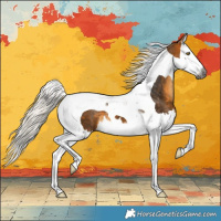 Horse Color:Gray Silver Buckskin Splash Tobiano 