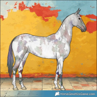Horse Color:Nacre White Spotted Grullo Roan