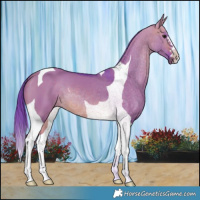 Horse Color:Watercolor Brown Dun Tobiano 