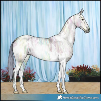 Horse Color:Gray Watercolor White Spotted Grullo Ice Tobiano 