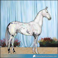 Horse Color:Gray Nacre White Spotted Brown Ice Dun Varnish 