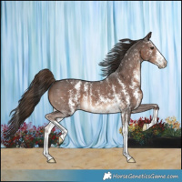 Horse Color:Liver Chestnut Sabino Snowflake Varnish 