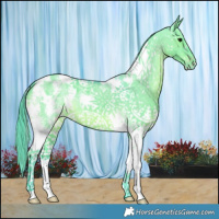 Horse Color:Watercolor White Spotted Grullo Sabino Varnish 