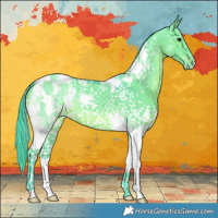 Horse Color:Watercolor White Spotted Grullo Sabino Appaloosa