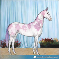 Horse Color:Watercolor White Spotted Bay Dun Splash 