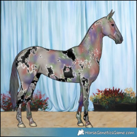 Horse Color:Nacre White Spotted Grullo 