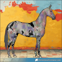 Horse Color:Nacre White Spotted Grullo 