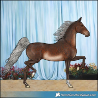 Horse Color:Silver Brown 