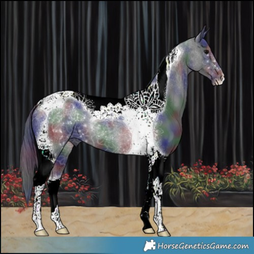 Horse Color:Nacre Black Tobiano 