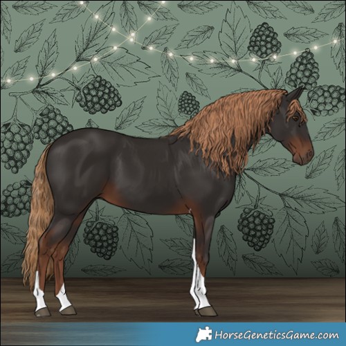 Horse Color:Liver Chestnut Tobiano