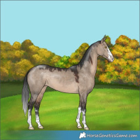 Horse Color:Brown Dun