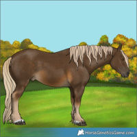 Horse Color:Chocolate Palomino