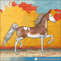 Horse Color:Silver Bay Splash Appaloosa