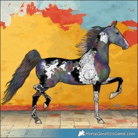 Horse Color:Nacre Black Tobiano Appaloosa