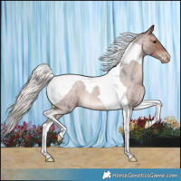 Horse Color:Silver Brown Roan Tobiano Varnish 
