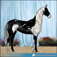 Horse Color:Nacre Bay Ice Dun Splash Tobiano 
