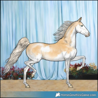 Horse Color:Palomino Splash 