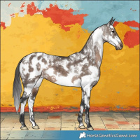 Horse Color:White Spotted Brown Dun Mushroom Sabino Splash Appaloosa