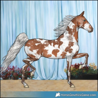 Horse Color:Silver Brown Splash Tobiano 
