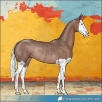 Horse Color:Silver Black Splash Rabicano 