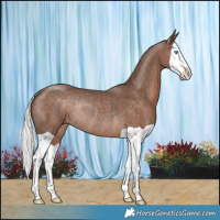 Horse Color:Silver Black Splash Rabicano 