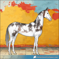 Horse Color:White Spotted Brown Splash Rabicano 