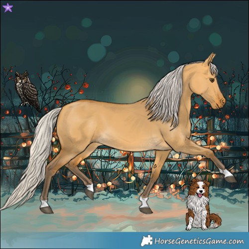 Horse Color:Silver Buckskin Dun Tobiano